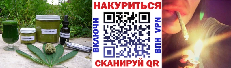 Canna-Cookies конопля Сурск