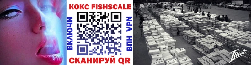 Cocaine FishScale  наркошоп  Сурск 