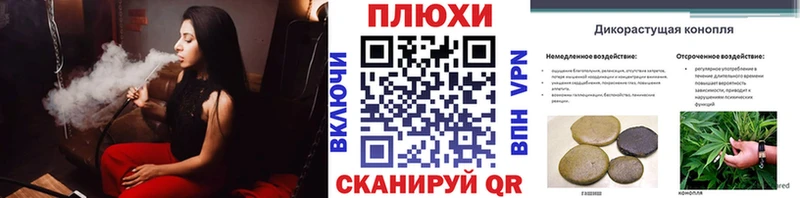 ГАШ Premium  площадка телеграм  Сурск 