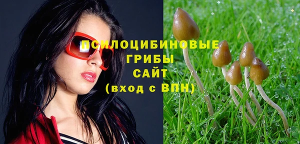 гашик Покачи