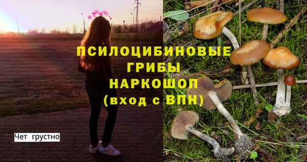 гашик Покачи