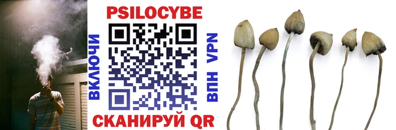 Псилоцибиновые грибы Psilocybine cubensis  kraken вход  Сурск  как найти закладки 